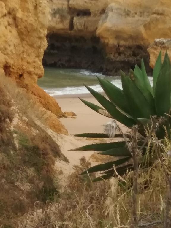 Casa Cereja 'Adults Only' Bed & Breakfast Albufeira Ngoại thất bức ảnh