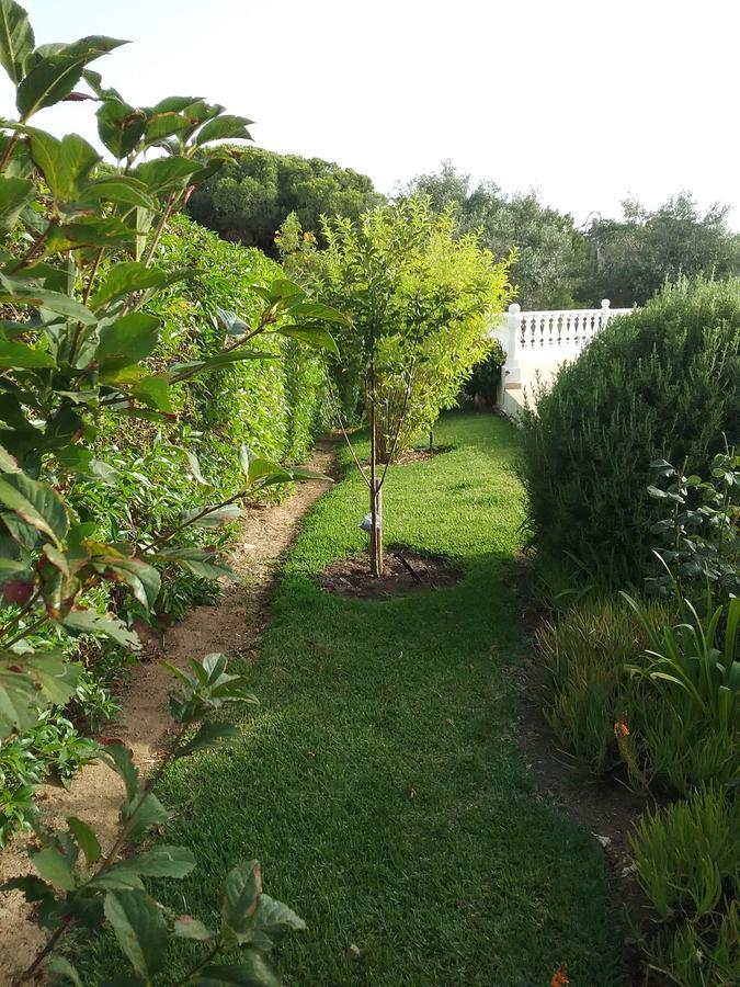Casa Cereja 'Adults Only' Bed & Breakfast Albufeira Ngoại thất bức ảnh