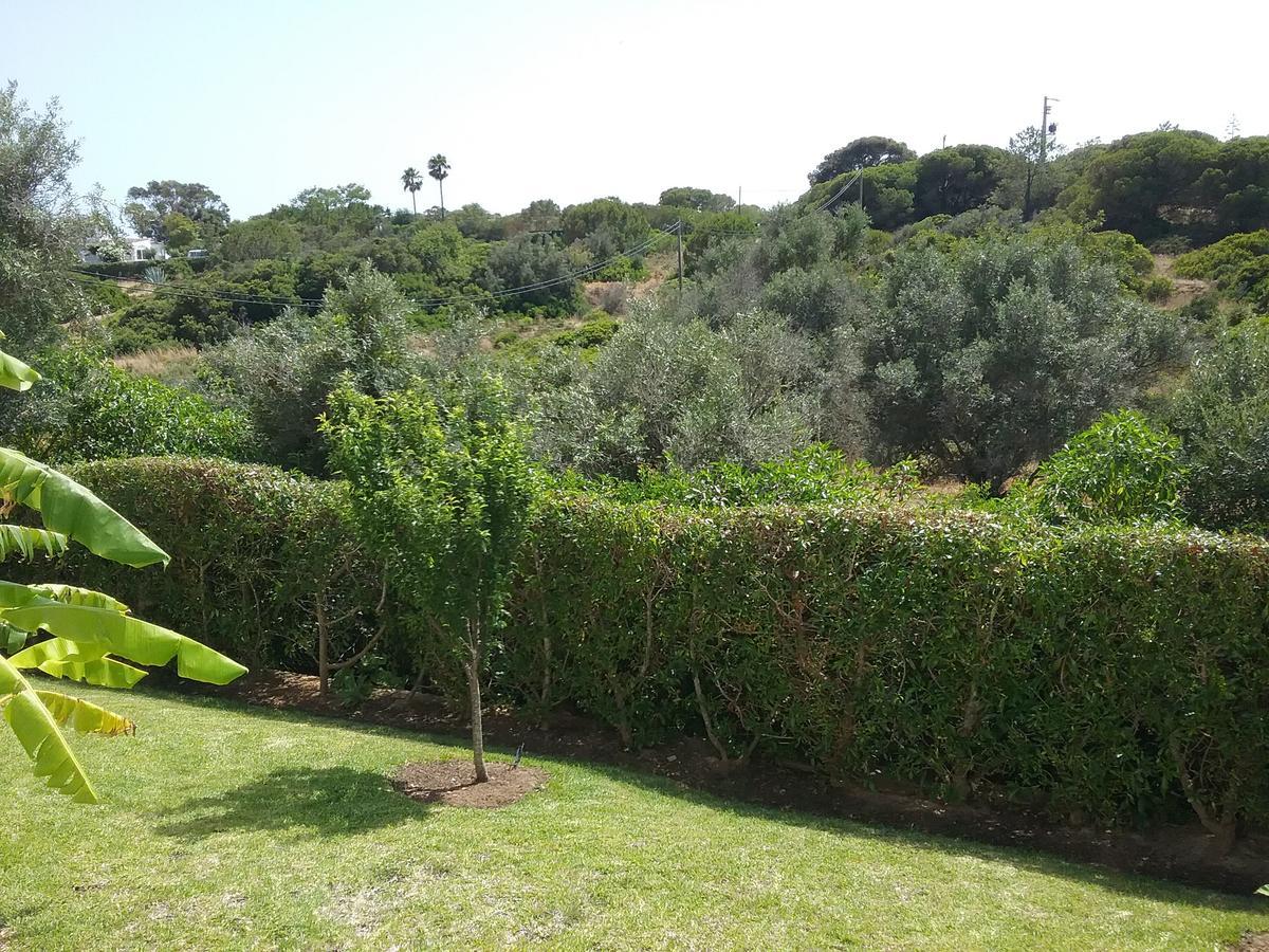 Casa Cereja 'Adults Only' Bed & Breakfast Albufeira Ngoại thất bức ảnh
